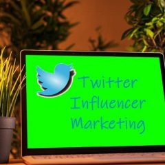 Finding Twitter Influenners